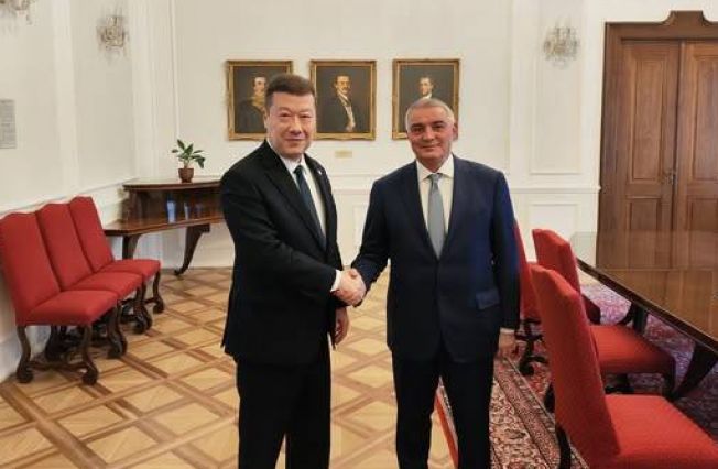 Meeting of the Ambassador of the Republic of Armenia with the Speaker of the Chamber of Deputies of the Parliament of the Czech Republic
